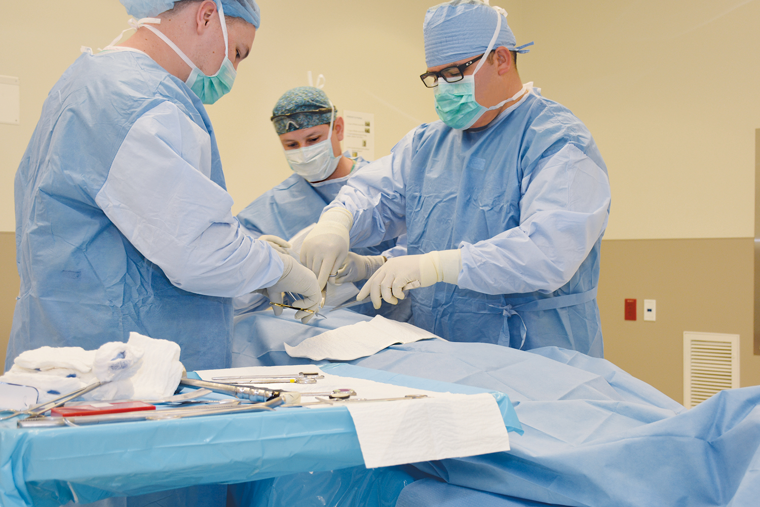 Tissue team tops nation in femoral vein recovery