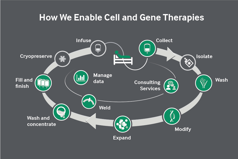 Terumo Blood and Cell Technologies and GenCure collaborate to advance cell and gene therapy manufacturing solutions