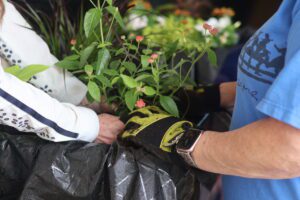 Donor Pavilion gets a spring makeover