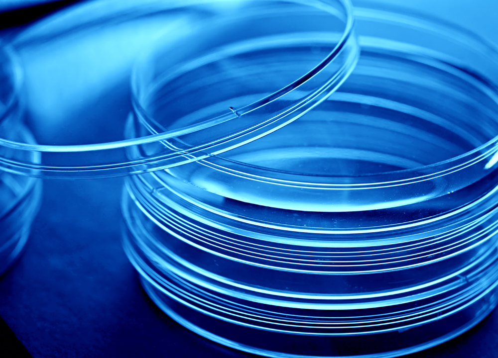 Scott Jones to lead BioFest Invest panel