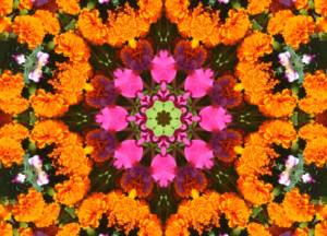 Kaleidoscope
