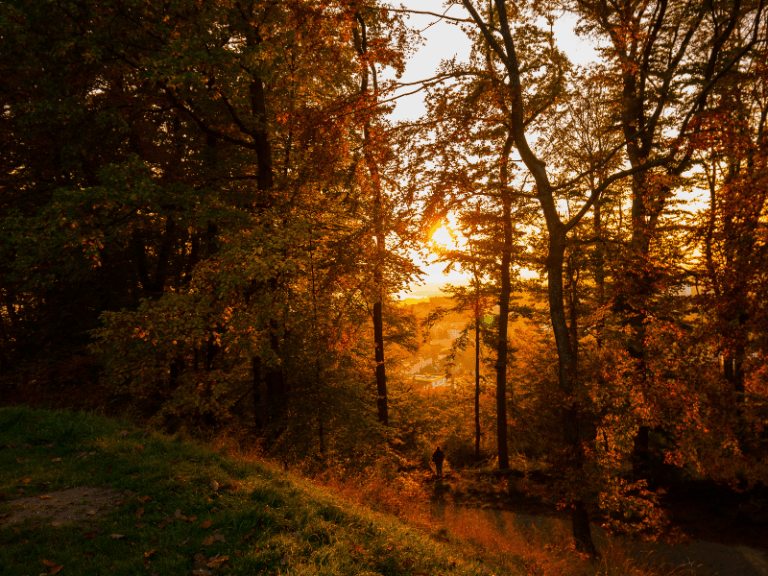 Living with Grief in the Fall Holidays