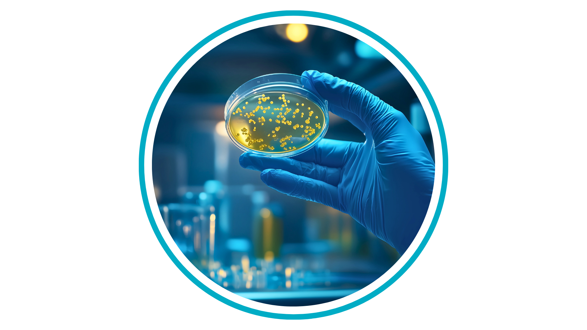 microbiology, representing Biobridge's important work in san antonio