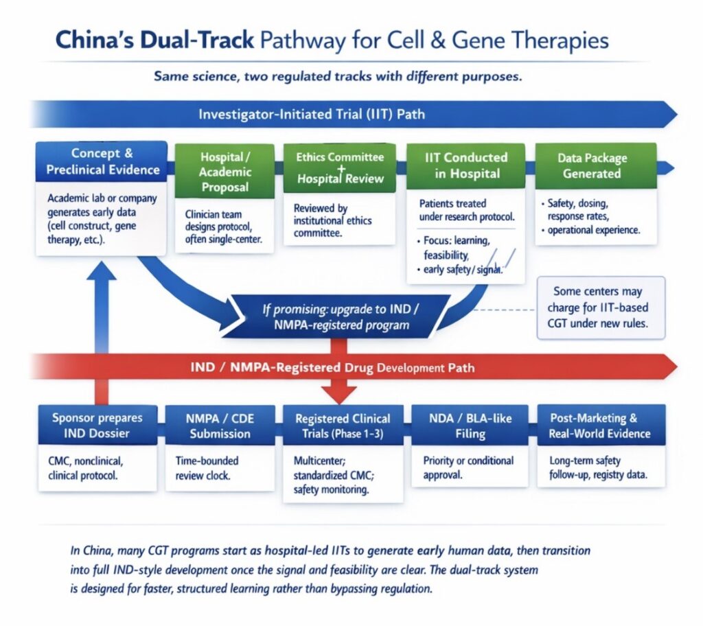 China's Dual-Track Pathway for Cell and Gene Therapies