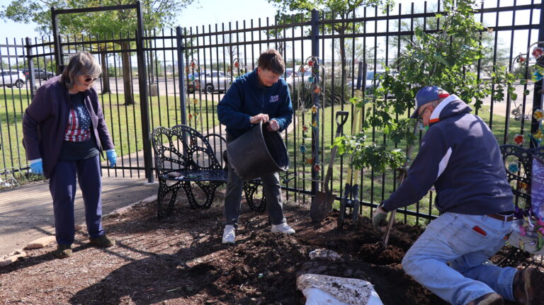 Three adults planting a tree in garden