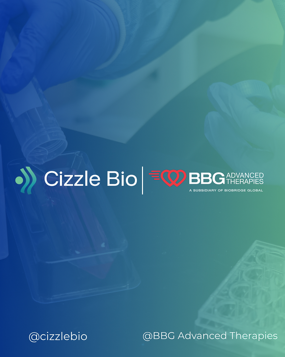 cizzlebio and bbg advanced therapies collaboration